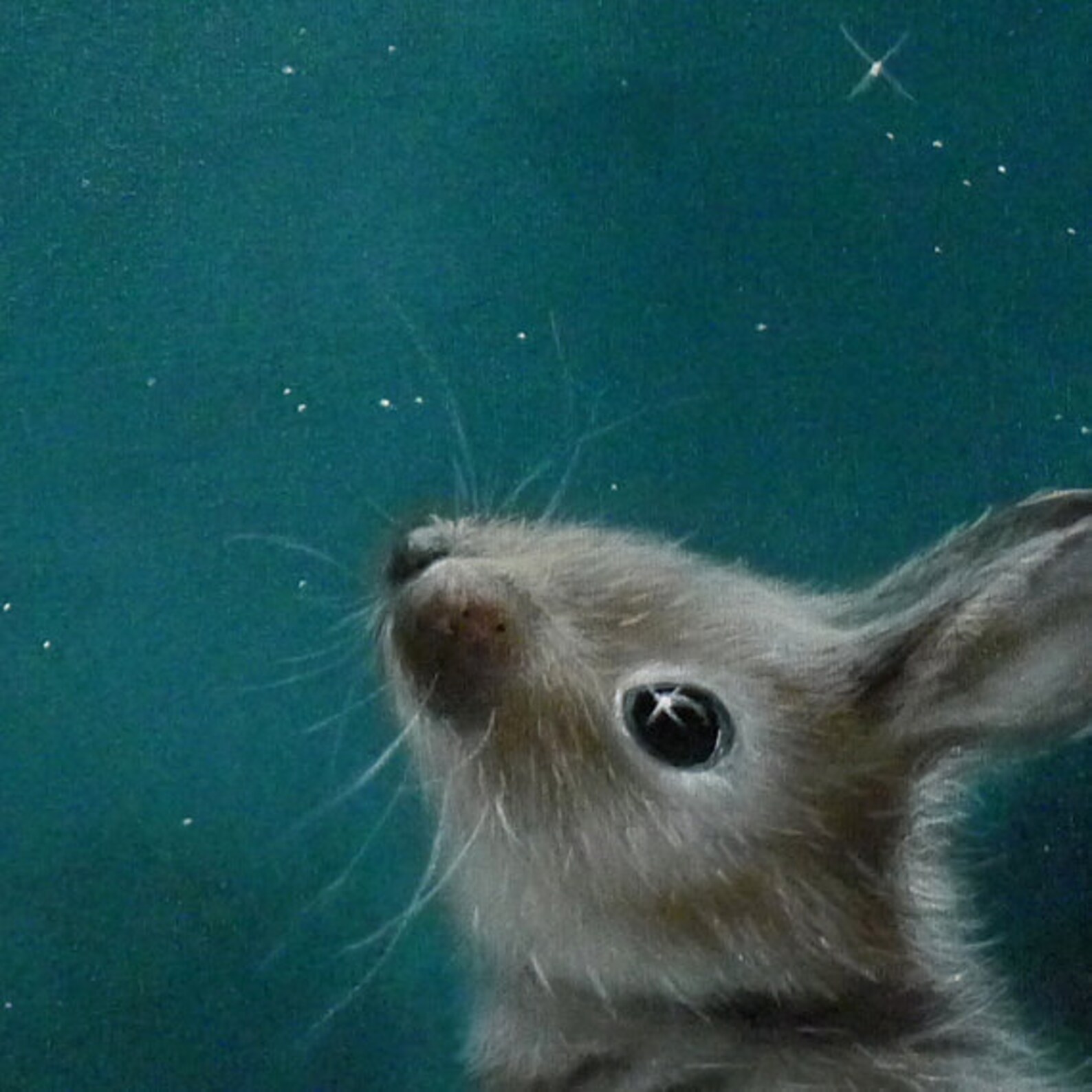 Bunny Art Print Acrylic Painting Llustration Animal Painting Etsy