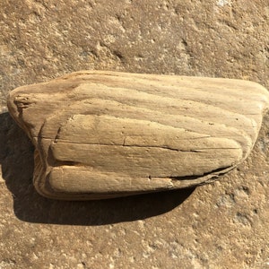 May include: A piece of driftwood with a natural, weathered finish. The wood has a light brown color and a smooth, rounded shape.