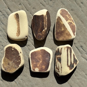 May include: Six smooth, light brown stones with brown markings. The stones are irregularly shaped and have a natural, rustic look.