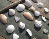 SEASHELL MOBILE Beach Glass Mobile Sea Glass Mobile Cottage Decor