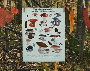 Mushroom Gaps of the Northern Tribes, Mushroom Poster Print, Mushroom Identification Chart