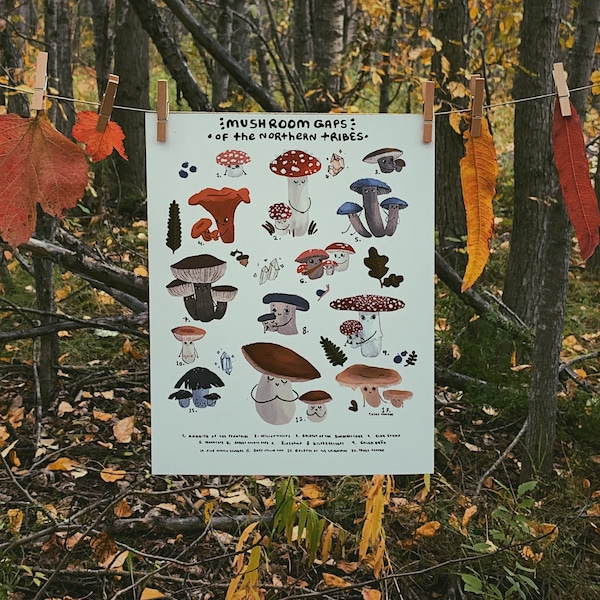 Mushroom Gaps of the Northern Tribes, Mushroom Poster Print, Mushroom Identification Chart