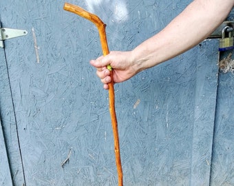 Hand Whittled Walking Stick: 48" Hiking Cane for Child or Woman