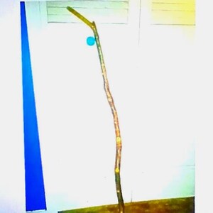 Cane Hand Crafted Whittled Maple Wood Balance Aid Women Men Handmade by Emmaus Canes Mothers or Fathers Day Gifts Yours, Occasionally