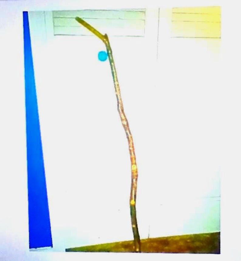 Cane Hand Crafted Whittled Maple Wood Balance Aid Women Men Handmade by Emmaus Canes Mothers or Fathers Day Gifts Yours, Occasionally
