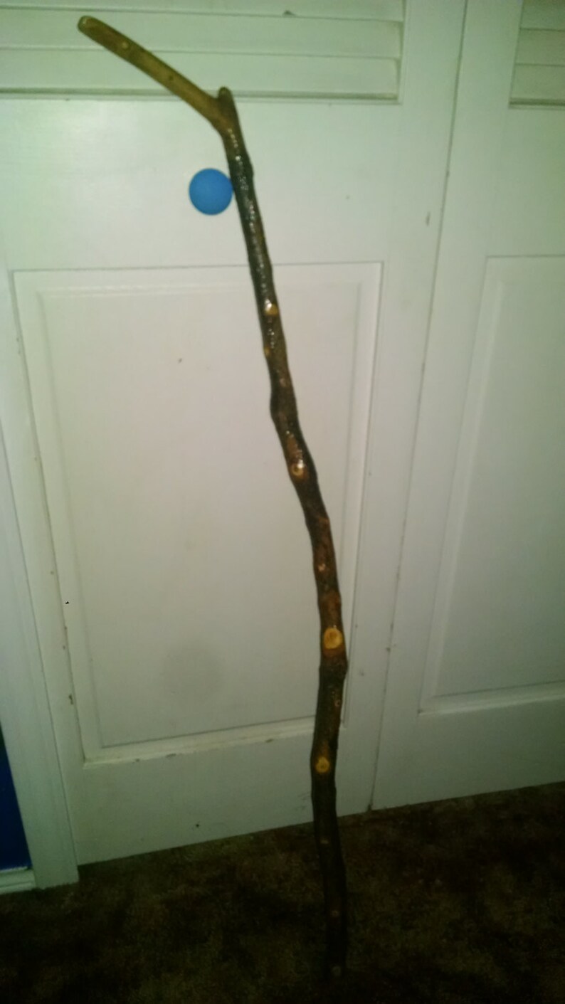May include: A long, brown walking stick with a natural, knotty surface. The stick is about 4 feet long and has a slight curve at the top.