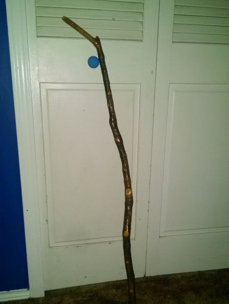 May include: A long, brown walking stick with a slightly curved handle. The stick has a natural, rustic look with knots and bark still attached.