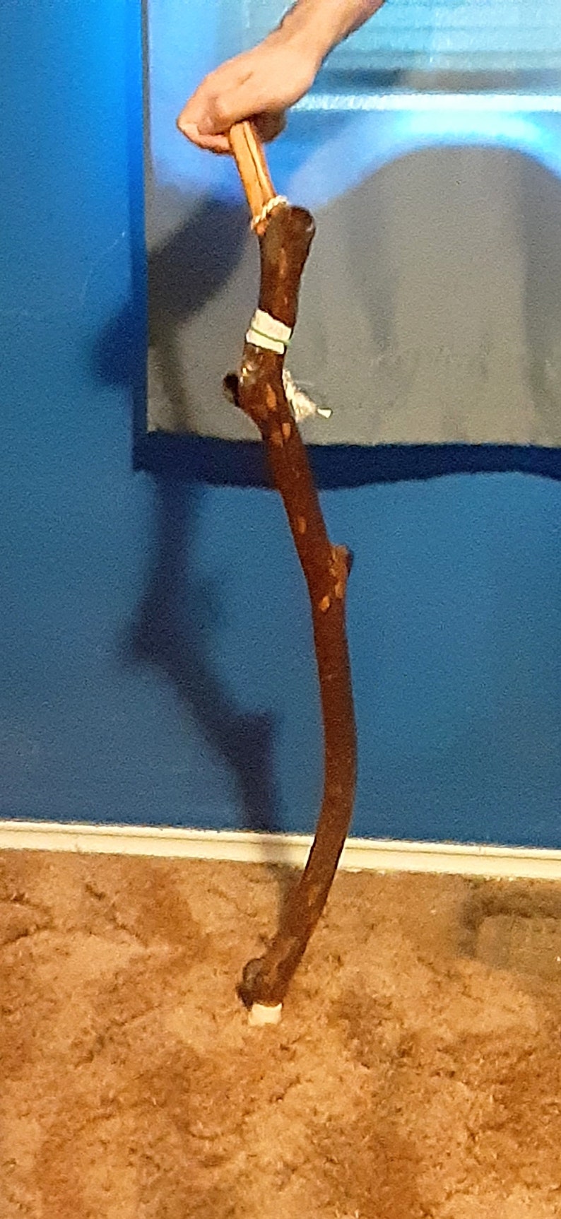 May include: A brown walking stick with a white band and a small piece of white string tied around it. The stick is held by a hand against a blue wall.