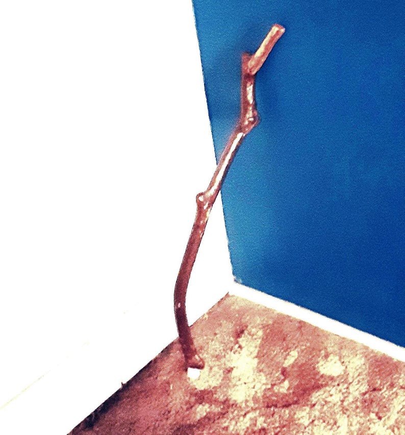 Cane Hand Whittled Crafted Carved Wood Left Handed by Emmaus Canes Cosplay Rip Van Winkel Fathers Day Mothers Day Gifts Yours, Occasionally