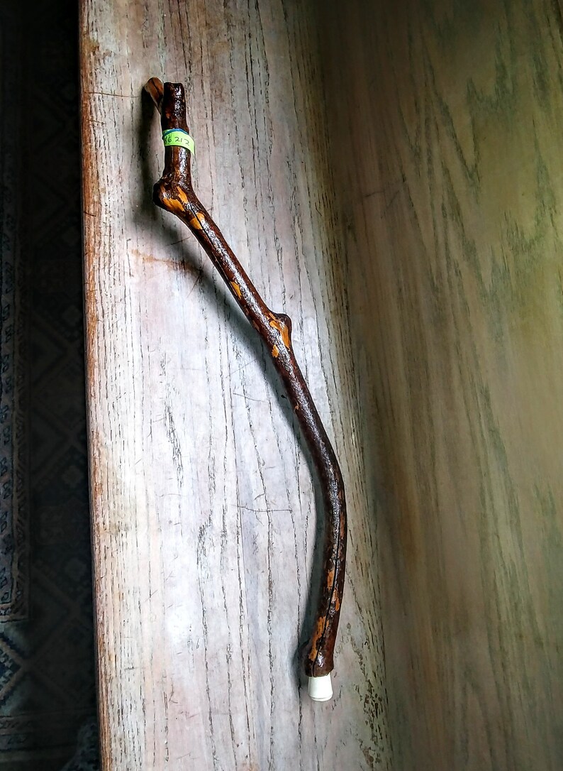 May include: A brown wooden stick with a white knob on the end. The stick is curved and has a natural, rustic look.