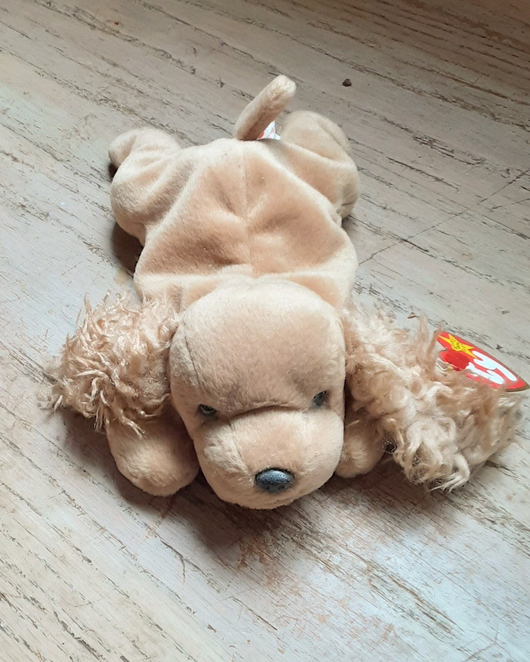TY Beanie Babies Spunky the Cocker Spaniel Born January 14 Etsy
