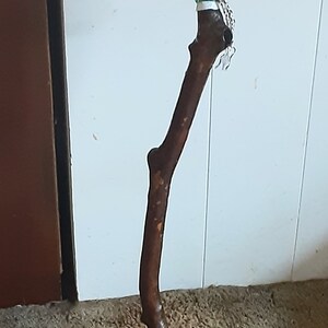 May include: A wooden walking stick with a brown, knobby handle and a white rubber tip. The stick is decorated with a white cord and a green tag.