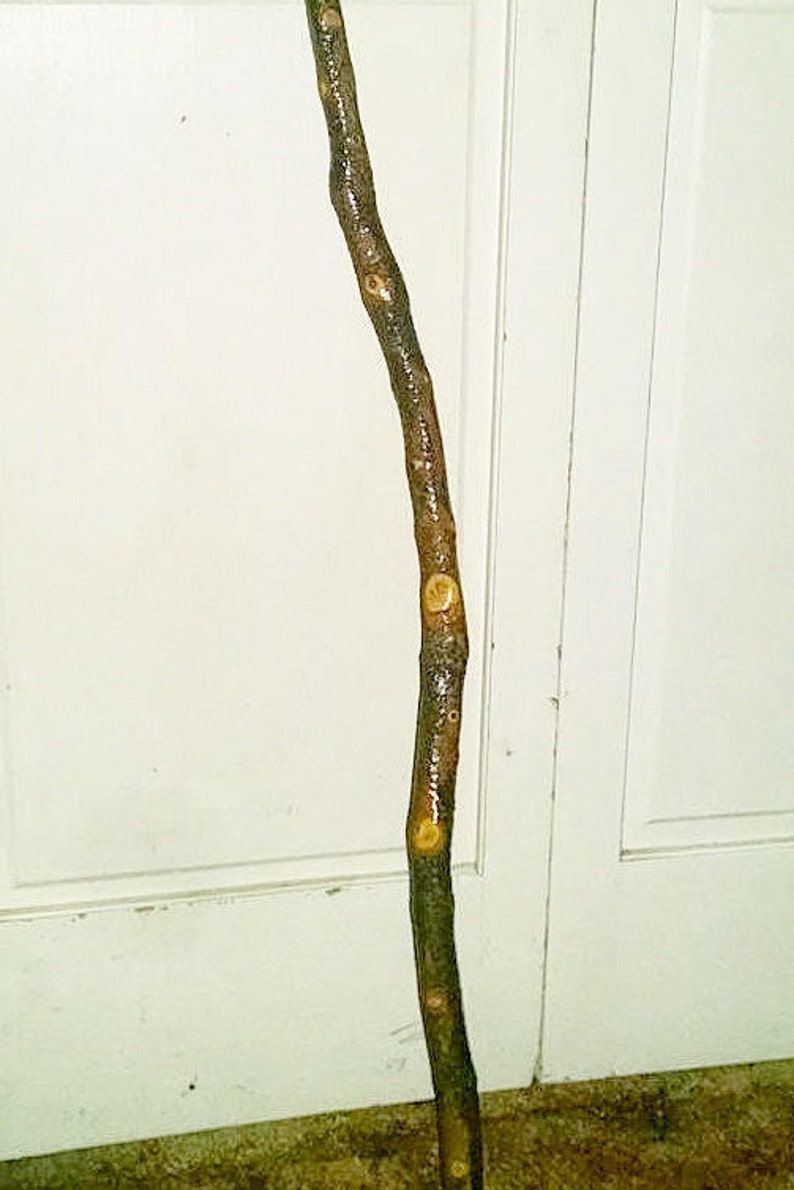 Cane Hand Crafted Whittled Maple Wood Balance Aid Women Men Handmade by Emmaus Canes Mothers or Fathers Day Gifts Yours, Occasionally