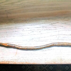 May include: A brown twig with a green piece of tape on one end. The twig is curved and has a rough texture.