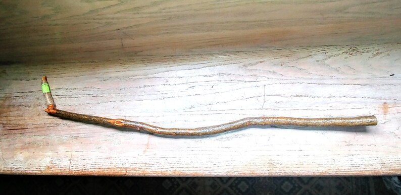 May include: A brown twig with a green piece of tape on one end. The twig is curved and has a rough texture.
