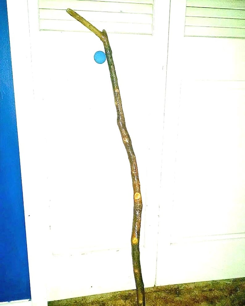 Cane Hand Crafted Whittled Maple Wood Balance Aid Women Men Handmade by Emmaus Canes Mothers or Fathers Day Gifts Yours, Occasionally