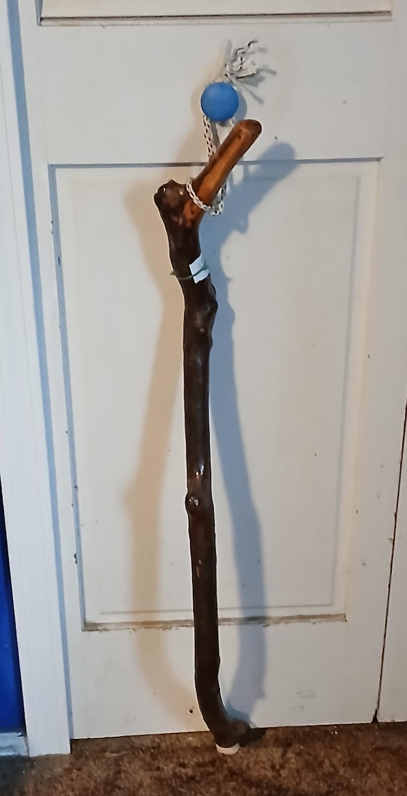 May include: A wooden walking stick with a brown, natural finish. The stick has a curved handle and a white tip. The stick is hanging on a white door with a blue and white rope.