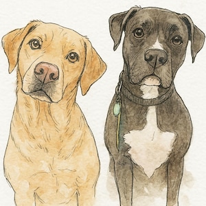 May include: A watercolor illustration of two dogs side by side. On the left, a golden-yellow dog with a pinkish nose. On the right, a black dog with a white chest patch and a collar featuring a small green tag. Both dogs have brown eyes.