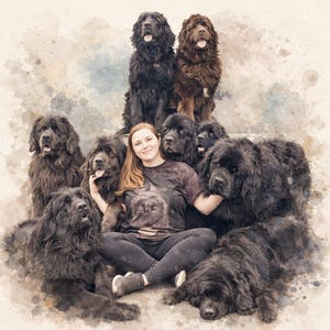 May include: A photograph featuring a person surrounded by several Newfoundland dogs. The dogs are predominantly black and brown, with varying fur textures. The person is wearing a dark t-shirt and black trousers, sitting amongst the dogs in a group.