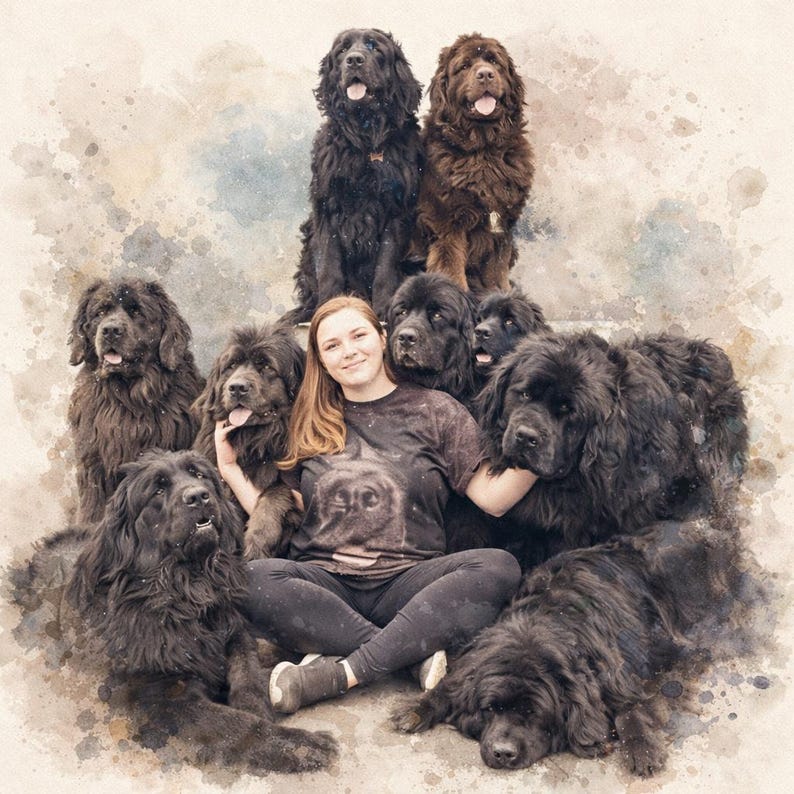 May include: A photograph featuring a person surrounded by several Newfoundland dogs. The dogs are predominantly black and brown, with varying fur textures. The person is wearing a dark t-shirt and black trousers, sitting amongst the dogs in a group.