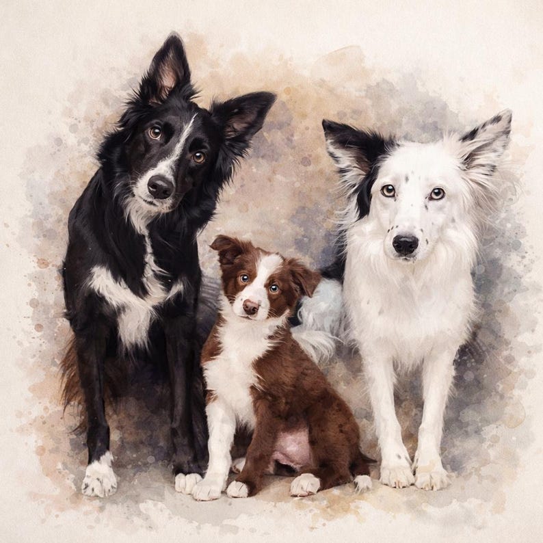 May include: A watercolour painting of three Border Collies. One is black and white, one is brown and white, and the third is mostly white with black markings. The dogs are posed together, looking at the camera.