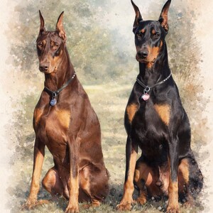 May include: A watercolour painting featuring two Doberman Pinschers. One is brown with tan markings, the other is black with tan markings. Both dogs are seated, wearing collars with tags. The background is a soft, blurred landscape.