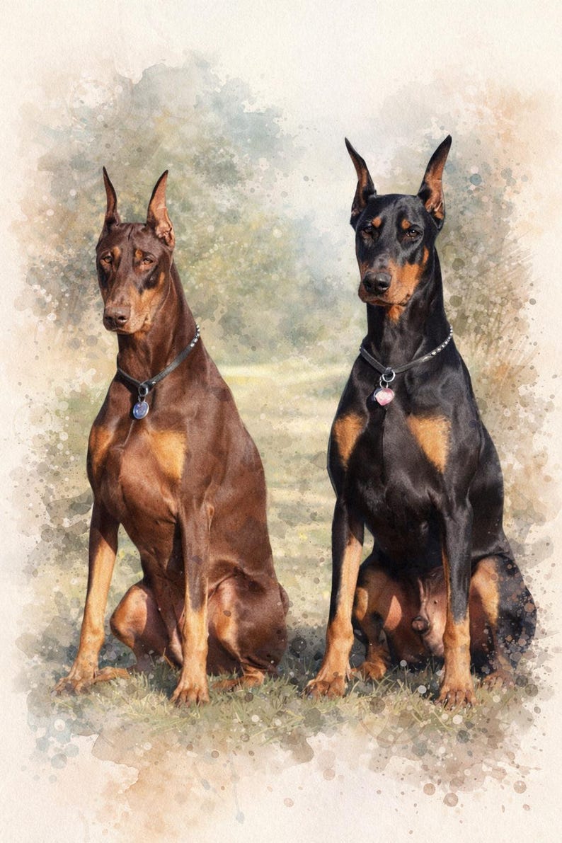 May include: A watercolour painting featuring two Doberman Pinschers. One is brown with tan markings, the other is black with tan markings. Both dogs are seated, wearing collars with tags. The background is a soft, blurred landscape.