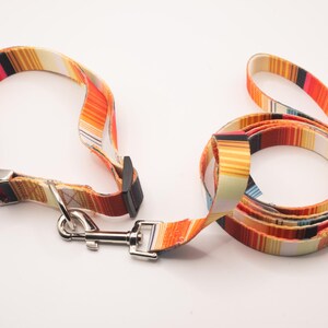 Adjustable dog collar and leash set – durable polyester for everyday use and walks