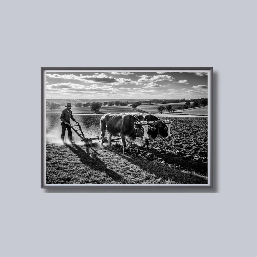 Farmer Plowing Field Print, Black and White Wall Art, Vintage ...
