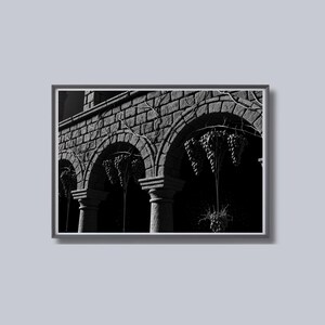 May include: Black and white framed photograph of a stone archway with three arches. The arches are decorated with grape vines and hanging bunches of grapes. The columns are cylindrical and support the arches.