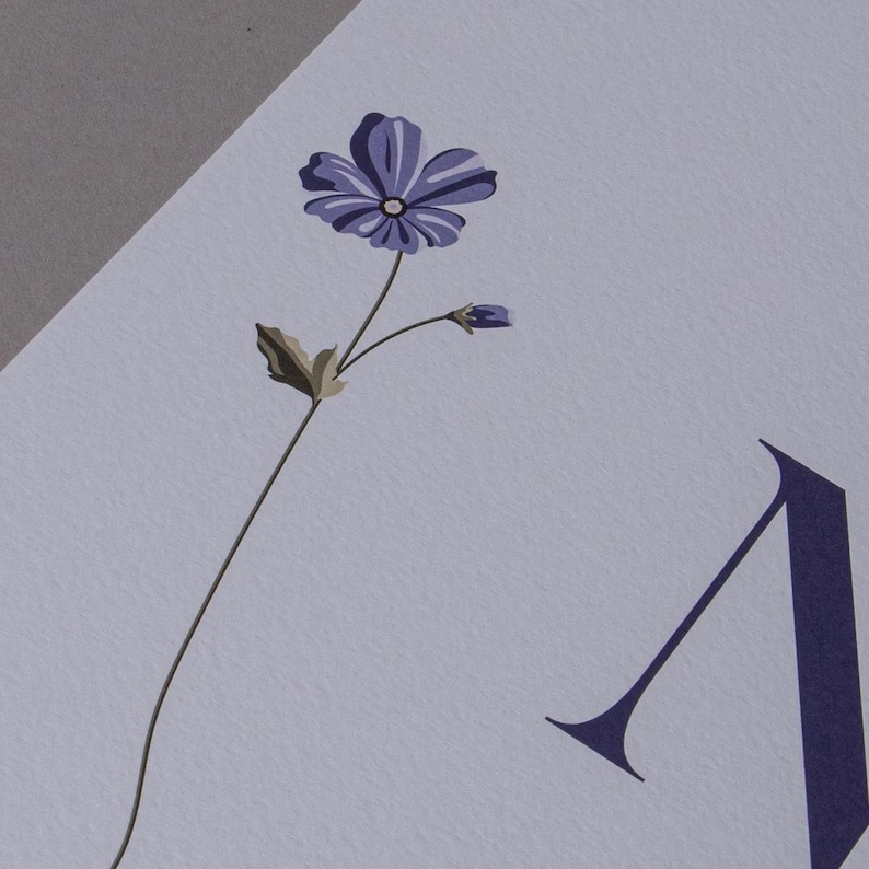 May include: A botanical print featuring a stylized purple flower with a delicate stem and a small bud. The flower has multiple petals and a dark center. The print is on a light lavender background, with a large, stylized letter "N" in the lower right corner.