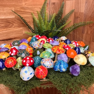 May include: A collection of colorful ceramic mushrooms with various patterns and colors, including red with white spots, orange, yellow, and blue. The mushrooms are arranged on a bed of green moss, with a fern in the background.