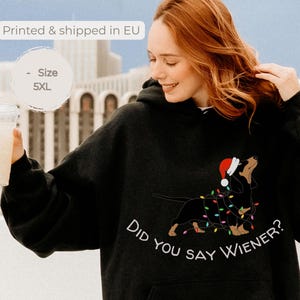 Op de afbeelding: Een zwarte hoodie met een afbeelding van een teckel die een kerstmuts draagt en omwikkeld is met kleurrijke kerstverlichting. Onder de hond staat de tekst: "DID YOU SAY WIENER?" De trui is voorzien van een kangoeroezak en lange mouwen.