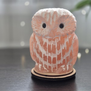 May include: A carved owl figurine in shades of peach and white, with black eyes, sits on a wooden base. The owl's textured surface and detailed design create a rustic, decorative appeal. This unique piece is a charming home decor item.
