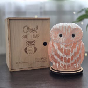 May include: A carved owl-shaped salt lamp with a wooden box. The lamp is peach-colored with white accents and sits on a wooden base. The box is light-colored wood with the words "Owl Salt Lamp" and an owl illustration.