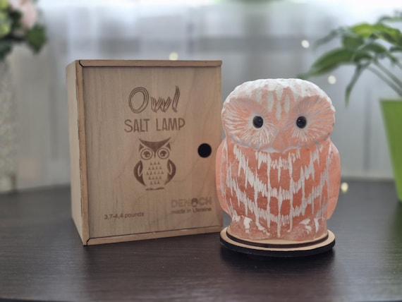 Owl Himalayan Salt Lamp in Gift Box – 4.5 lbs Unique Handmade Home Decor Gift