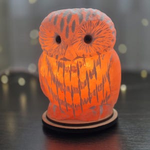 May include: Orange owl-shaped lamp with a carved design, illuminated from within. The lamp sits on a wooden base and emits a warm glow. The owl's eyes are dark, and the overall effect is decorative.