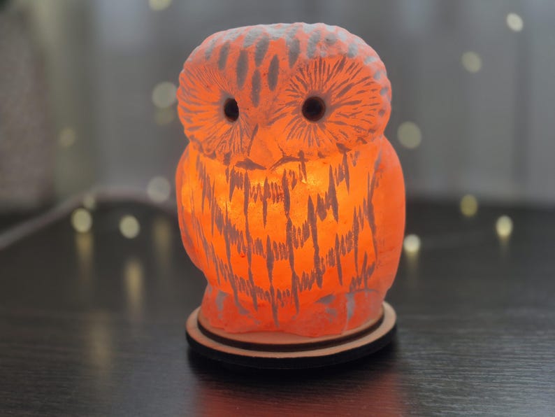 May include: Orange owl-shaped lamp with a carved design, illuminated from within. The lamp sits on a wooden base and emits a warm glow. The owl's eyes are dark, and the overall effect is decorative.