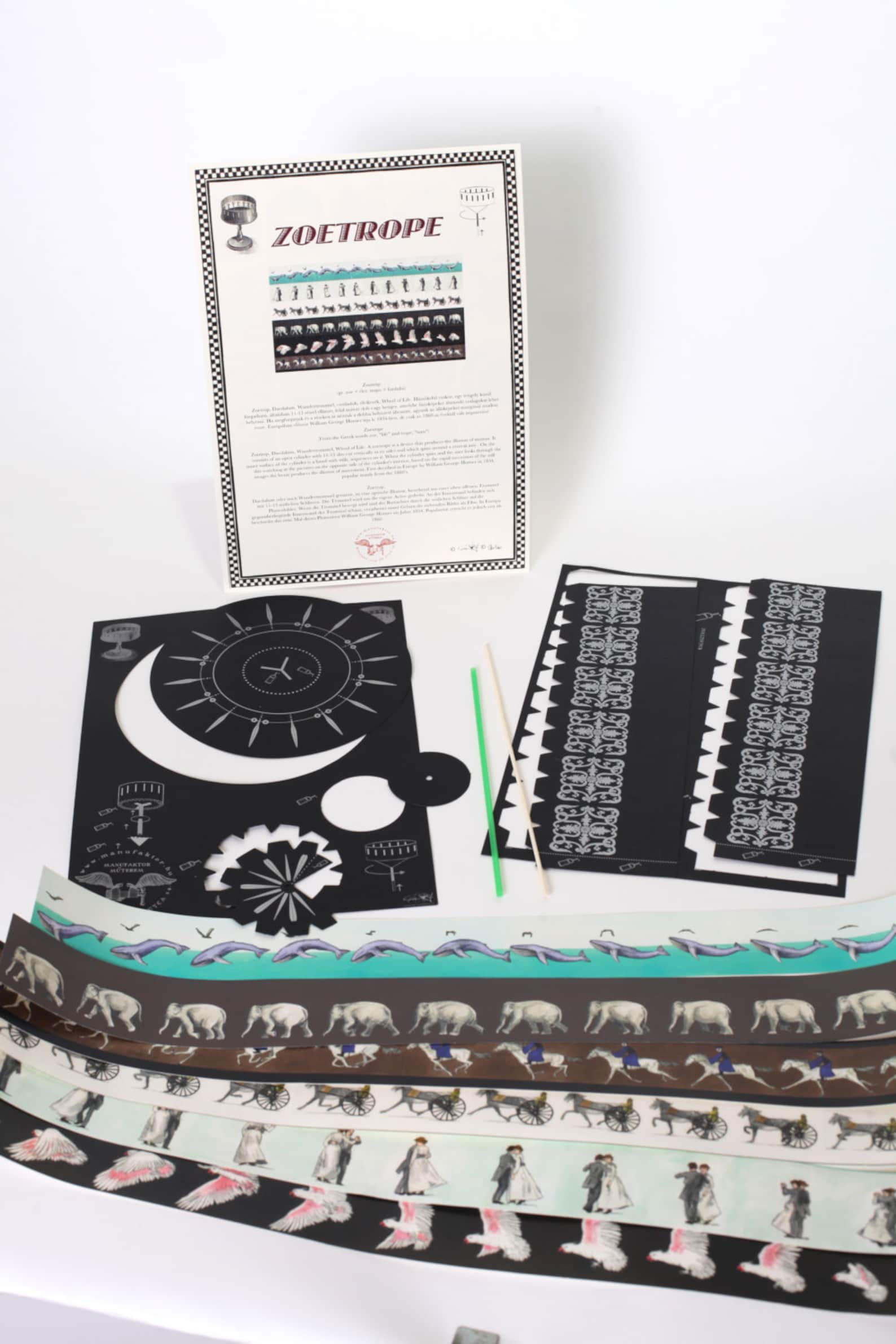 Zoetrope 6 Strip Etsy