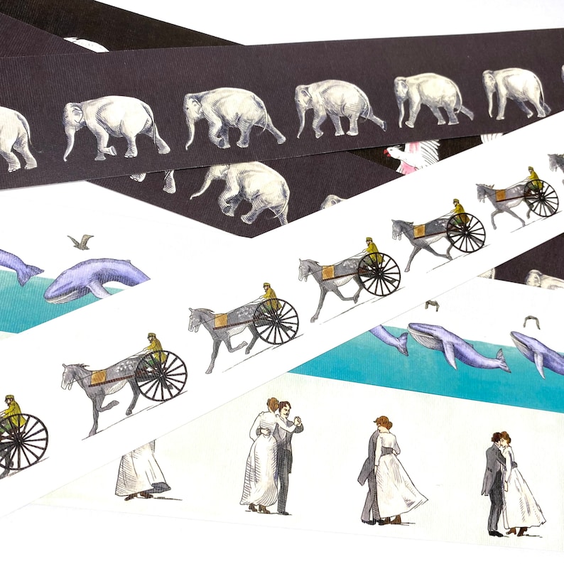 Zoetrope 6 Strip - Etsy