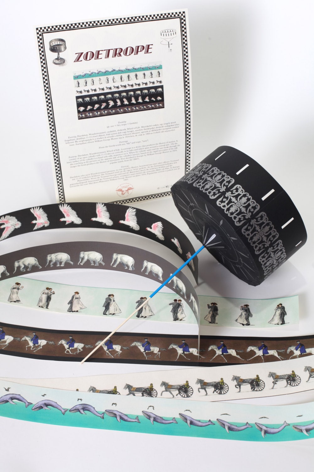 Zoetrope 6 Strip - Etsy