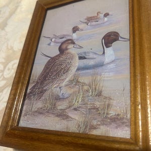May include: A framed print depicting a watercolour painting of ducks in a wetland setting. The ducks have brown and white feathers, with some swimming in the water and others near the shore. The frame is made of wood with a warm, golden finish.
