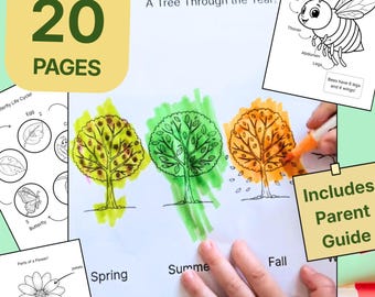 Spring Science STEM Coloring Pages | Bee Life Cycle, Plants (20 printables, PDF Download)