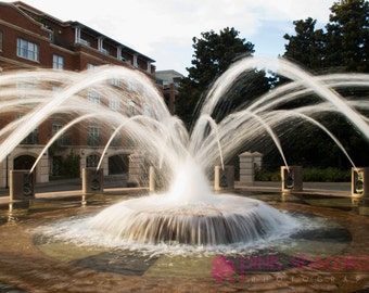 Charleston Downtown Waterfront Park Fountain Fine Art Print