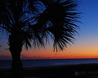 Palmetto Tree Beach Sunset Fine Art Print