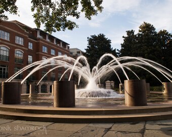 Downtown Charleston Fountain Fine Art Print