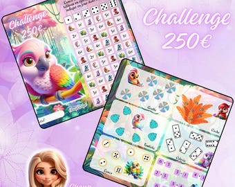 Défi Budget Challenge 250 Euros