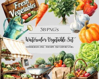 Set di clipart di verdure del mercato agricolo / Illustrazioni di raccolti sani ad acquerello / Pacchetto PNG / Download digitale