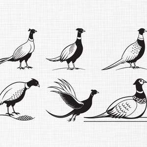 May include: A collection of six black and white pheasant illustrations. The birds are depicted in various poses, including standing, walking, and in flight. The artwork has a minimalist style, with detailed feather patterns and elegant lines.