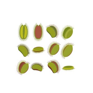 May include: A set of stylised Venus flytraps in different orientations. The plants are mainly green with red interiors and spiky edges. The background is plain white.